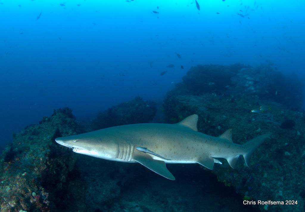 52a010f7-5c16-4e02-bdd6-6cd45e8f3286