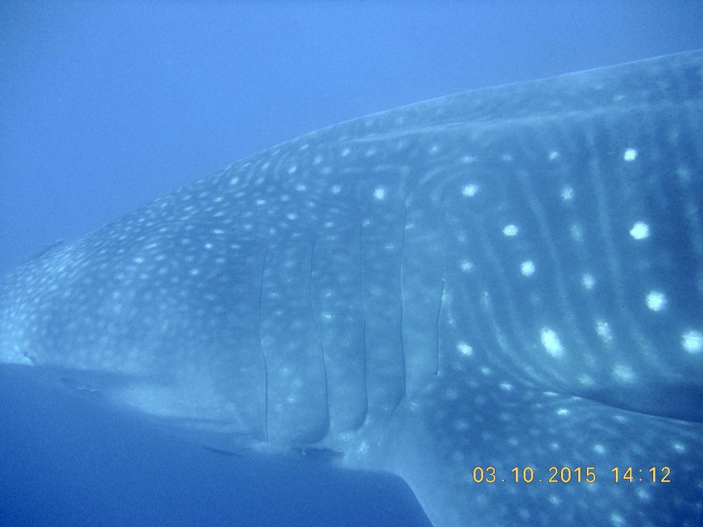 5e5b08d4-2f7a-4994-a03e-8bd15f16f983