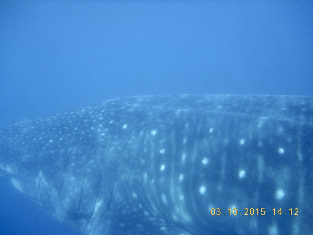 5e5b08d4-2f7a-4994-a03e-8bd15f16f983