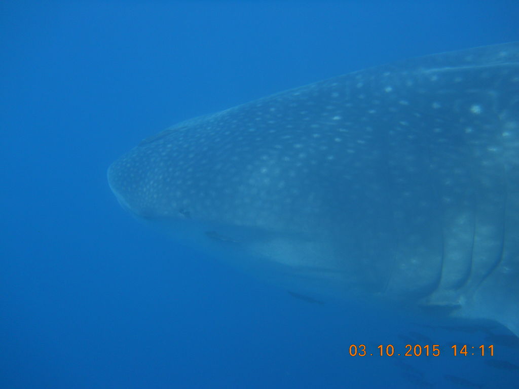 5e5b08d4-2f7a-4994-a03e-8bd15f16f983