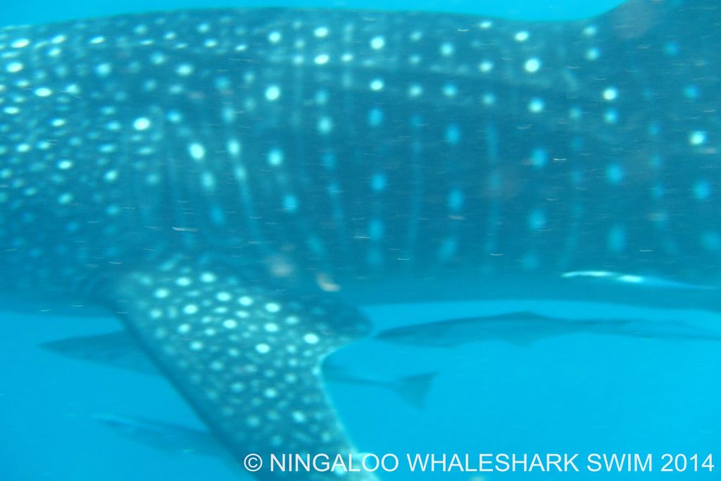 b74238a2-2a04-468f-99b1-60d52784fc12