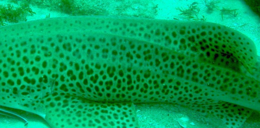 9e411266-e9ac-4cce-befe-8da2618e69f0