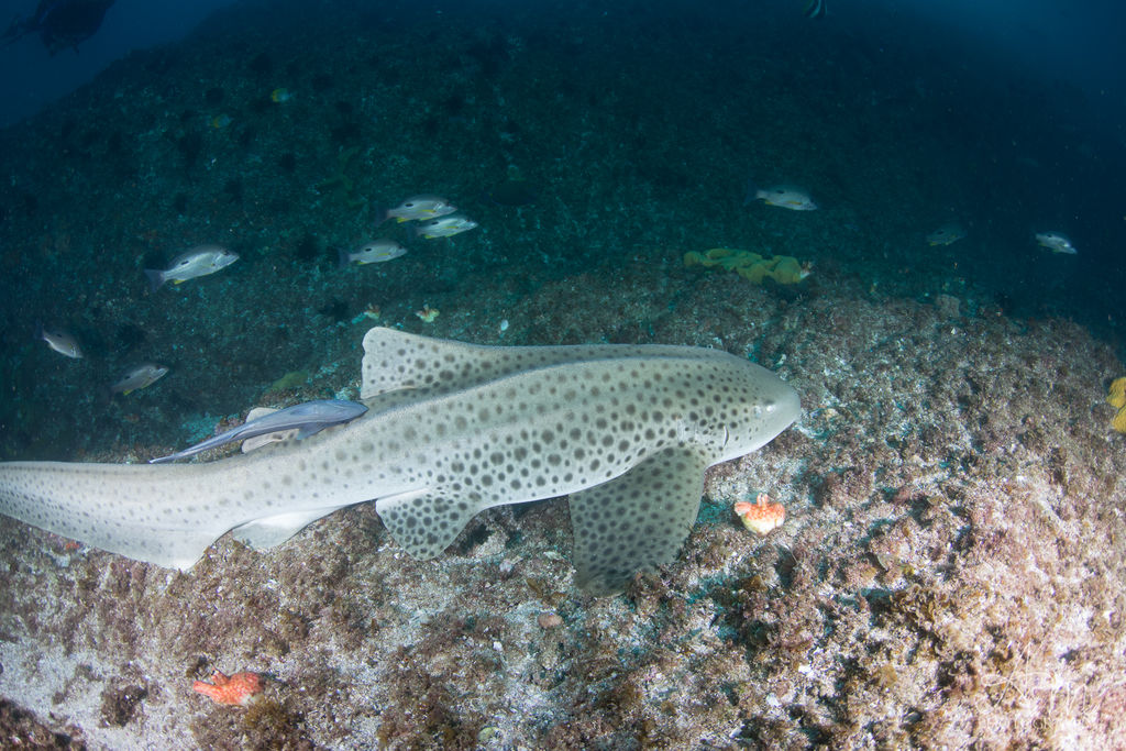 d1906f88-576d-4232-a8a4-e3f3edbaaba8