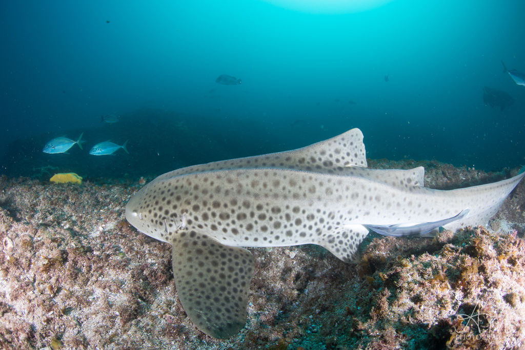 d1906f88-576d-4232-a8a4-e3f3edbaaba8