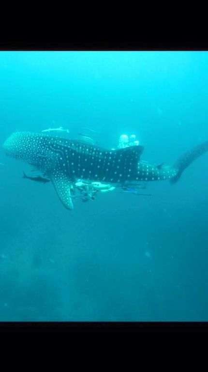 4d8719c9-0d0e-40fa-9eb3-fbafb78a11cb