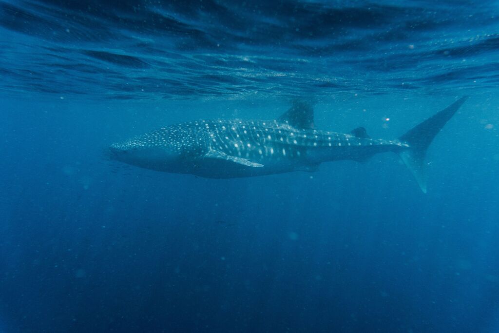 3fbf4f38-c667-49b5-8906-54fe9c740826