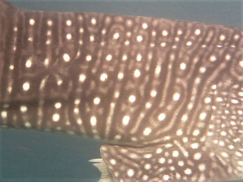 dc33926d-4872-487a-b441-9cc53de1c370