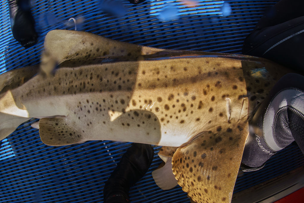 8c840f7b-5ce7-4013-80c4-fb786c89f81e