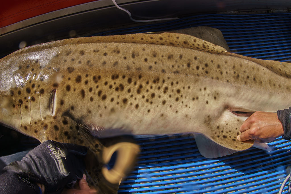 8c840f7b-5ce7-4013-80c4-fb786c89f81e