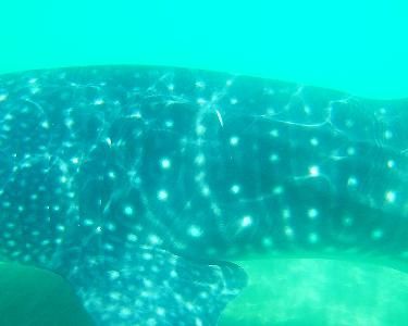 2782065a-ce05-4ce1-9e53-e309ce62bee8