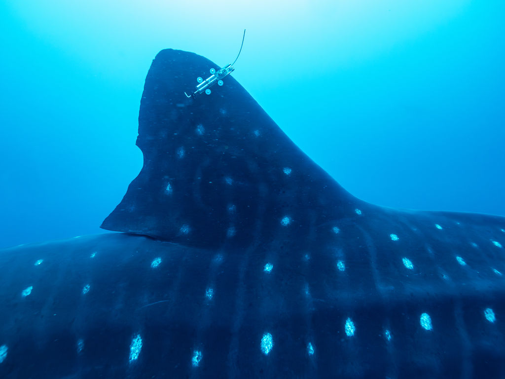 85786d84-672d-4dba-9441-47ce0a658d48