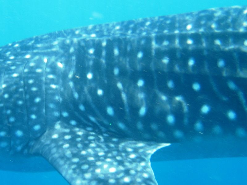 b1f45189-e50a-4b0a-b336-5f41f03419ea