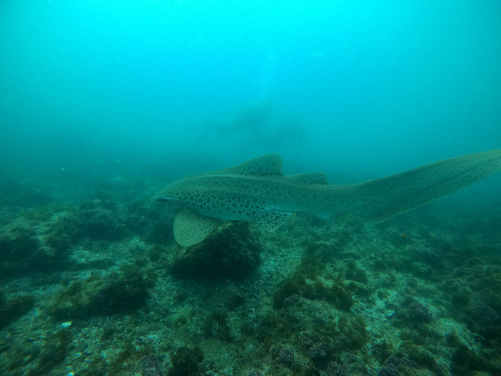 7ae45c62-645a-461a-abd8-f81b61ccab6d