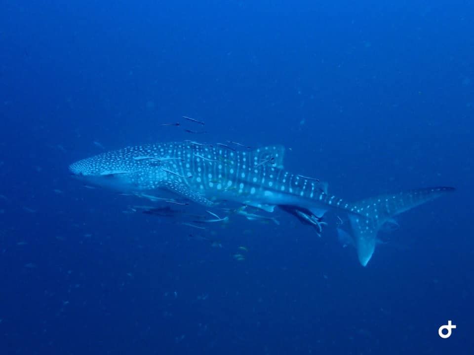 0faeb7d3-6674-42ec-a4dd-6ccc8a0a109d