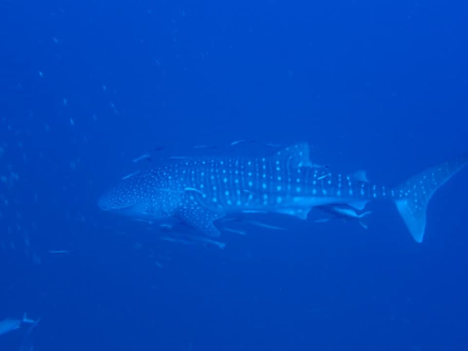 0faeb7d3-6674-42ec-a4dd-6ccc8a0a109d