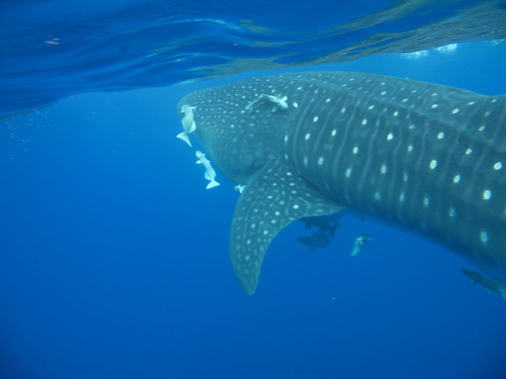 df59ec5c-05aa-40b1-8211-c0045a903d98