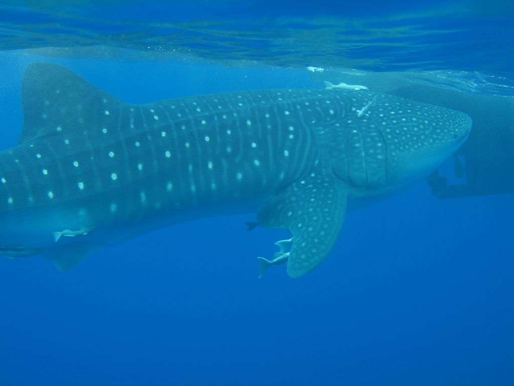 df59ec5c-05aa-40b1-8211-c0045a903d98