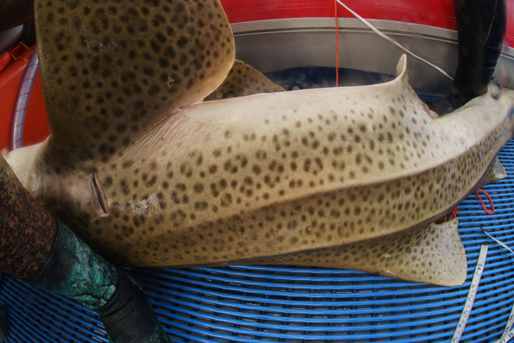 3a84edbc-fac3-40b0-b2d5-66c2fc383eae