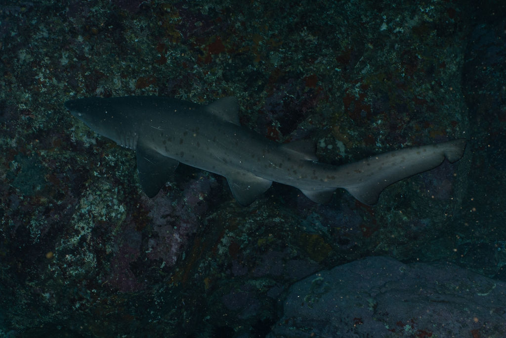 88e880ec-9a82-4d5b-b581-6a37e1f44167