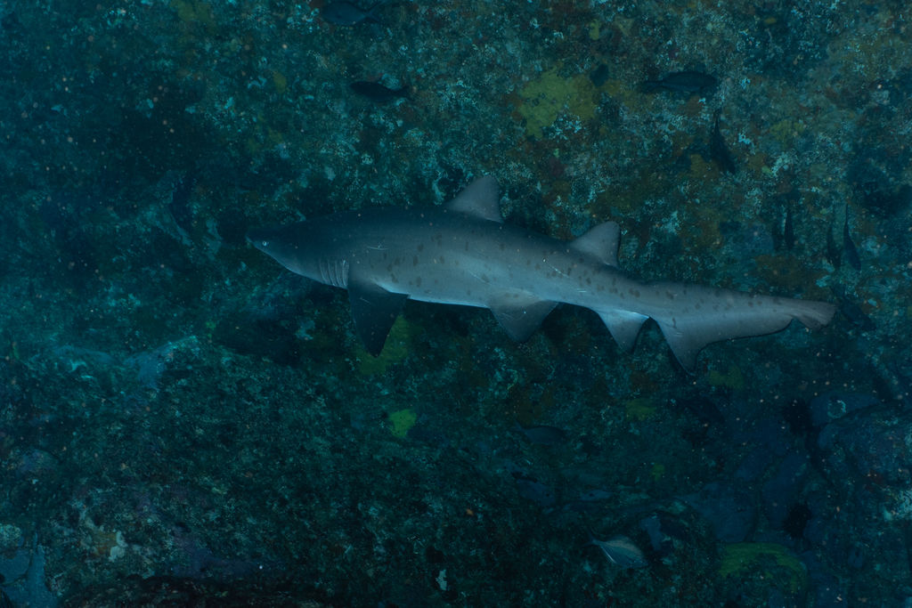 88e880ec-9a82-4d5b-b581-6a37e1f44167