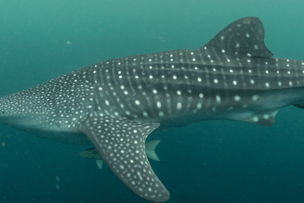 dd7b4ac9-881c-426c-9f8f-e7f8769aa352