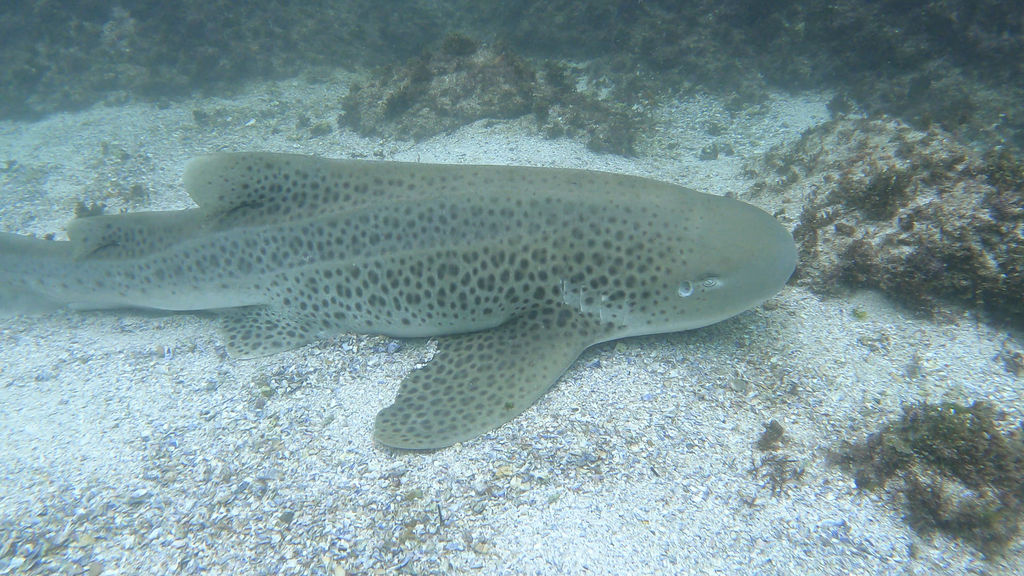 6ef545cc-4576-4782-ae25-def0f5323c5c