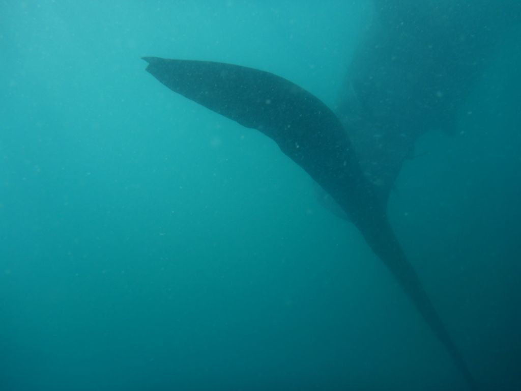 05f1d90f-648c-4955-9c3d-567c536ffb4a