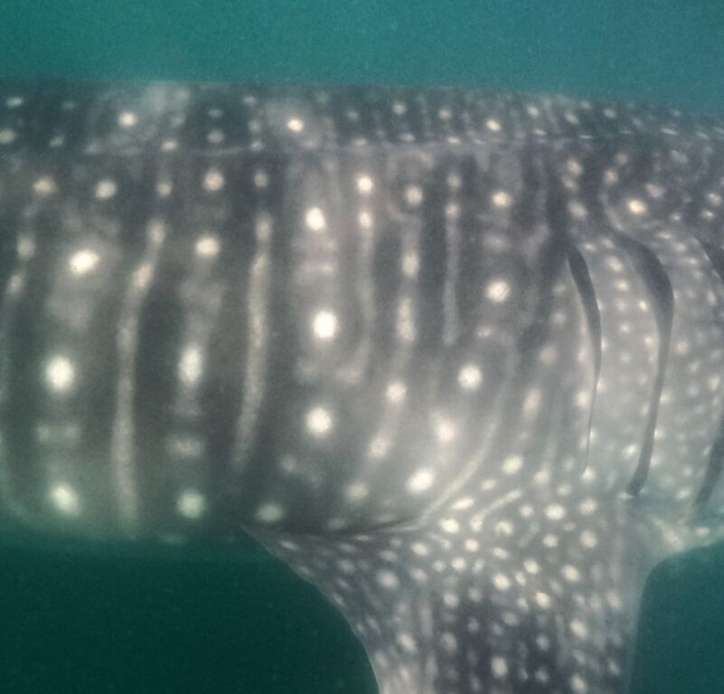 2024723d-8153-4e0a-8655-a966ea4508f7