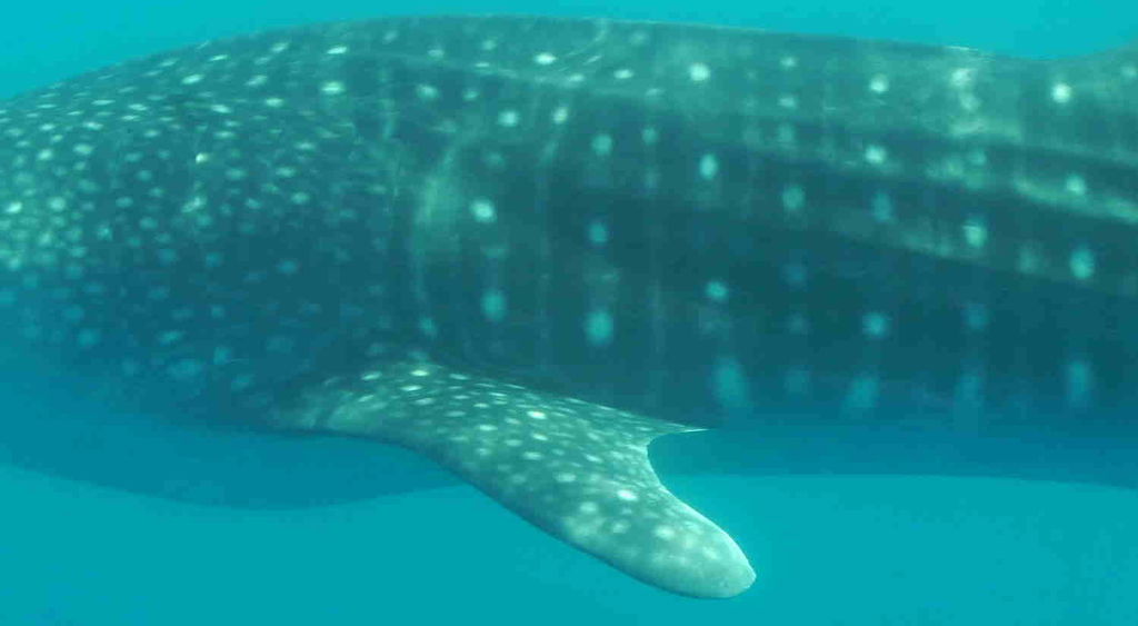 08a8fa1f-3933-427f-83f8-65d2f24c93a7