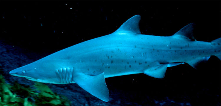 134e03ba-09c3-43b3-a320-79a4b275698b