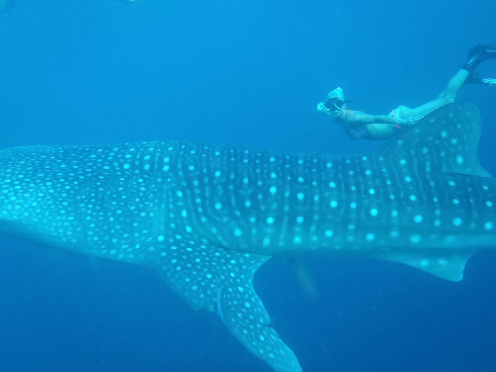 aba8887a-f23c-4703-a725-db83afbecc87