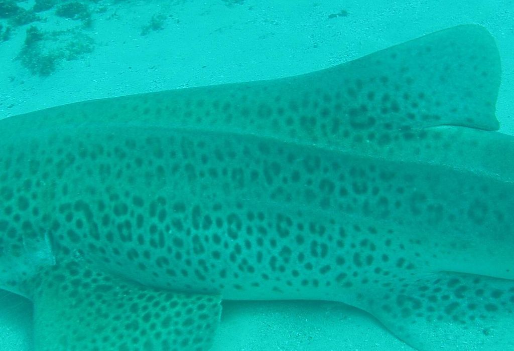 2b30eae3-8846-472c-babd-02403356bcb1