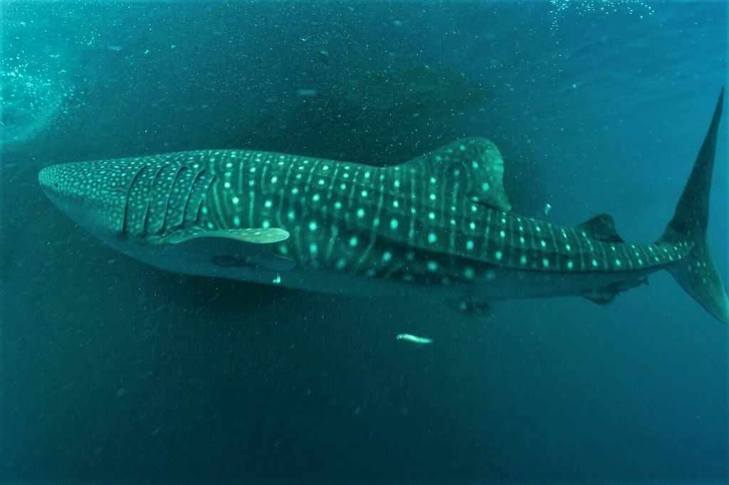 345c9238-2629-47bd-bbd4-9d0735b9e475