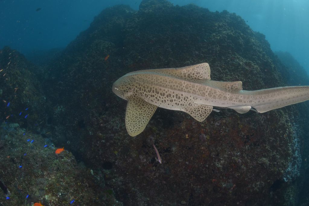 2545438b-3cc1-46a5-b122-d341f8eea9db