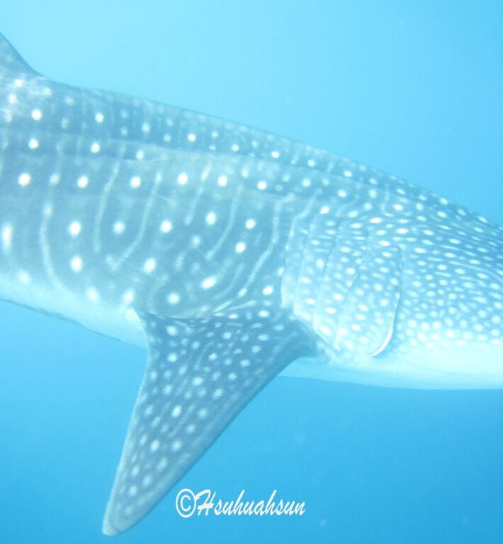 36beea10-8e0d-4b8b-895d-75fd8eb30851