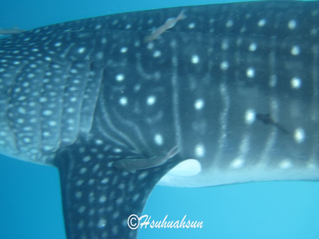 36beea10-8e0d-4b8b-895d-75fd8eb30851