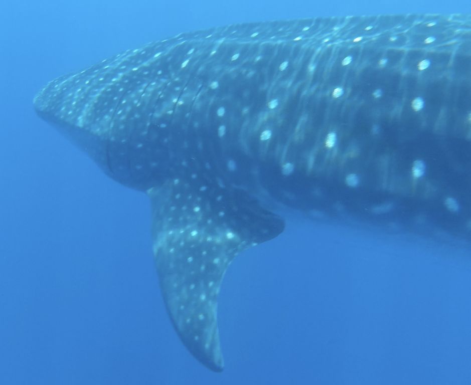 8a8e94a6-ccf2-4a53-8eab-a001458a845b