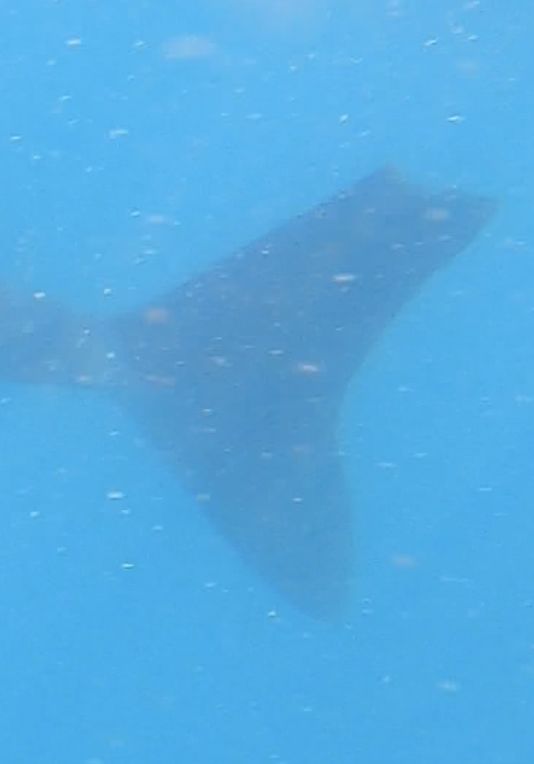 804d587f-b681-4260-8222-c4b70b52cf84