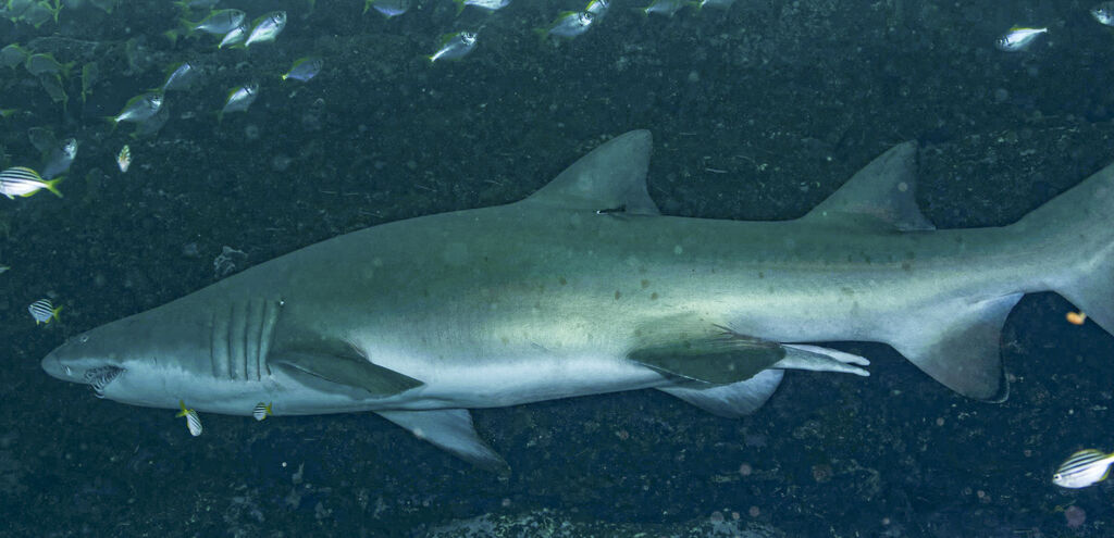 4fa2b1a7-1deb-4d03-a342-926ea8b99017