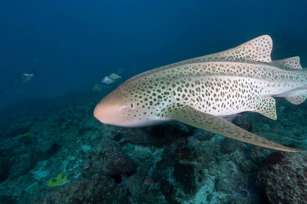 6f30a021-26b6-4dd3-b1a0-a2182fde6726