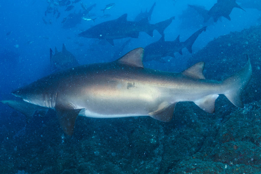 57c7c1ca-3830-4cf3-bb0f-7372f662bdc0