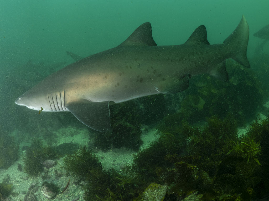 e0425aba-8571-45a3-b667-4157eb78dd32