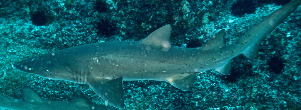 be45bb6c-89b3-4029-a6ef-e6774b972d04