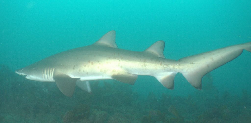 d9904ba3-dd05-4550-b6a8-8254650242d3