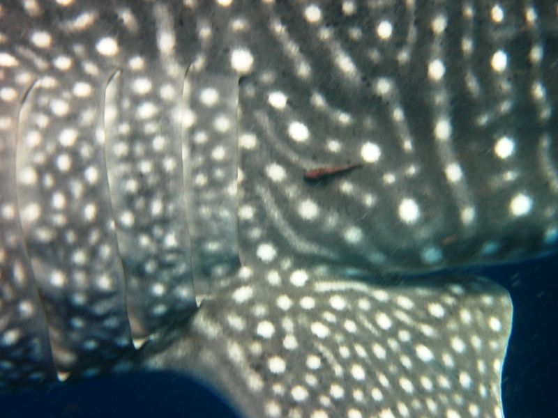 b55abd93-3823-446a-b9ed-61535d4a7341