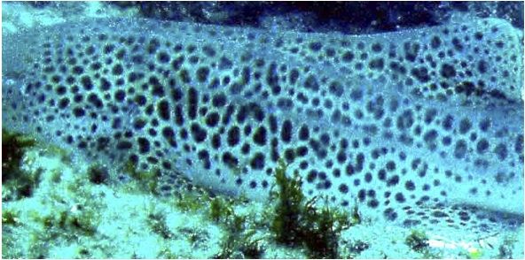 7221d52a-aaa6-458c-b98c-e092b8384e04