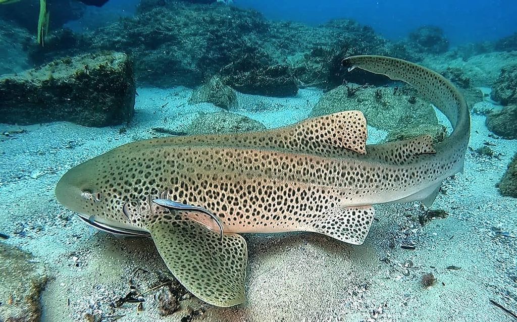 bc88fa63-7eac-44d5-9e1e-511e0adc490e