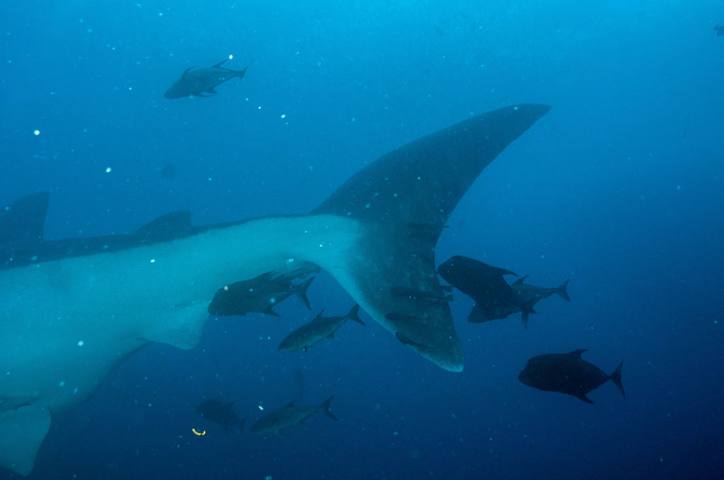 068deee4-a135-447f-b2db-a54b2cfbb7de