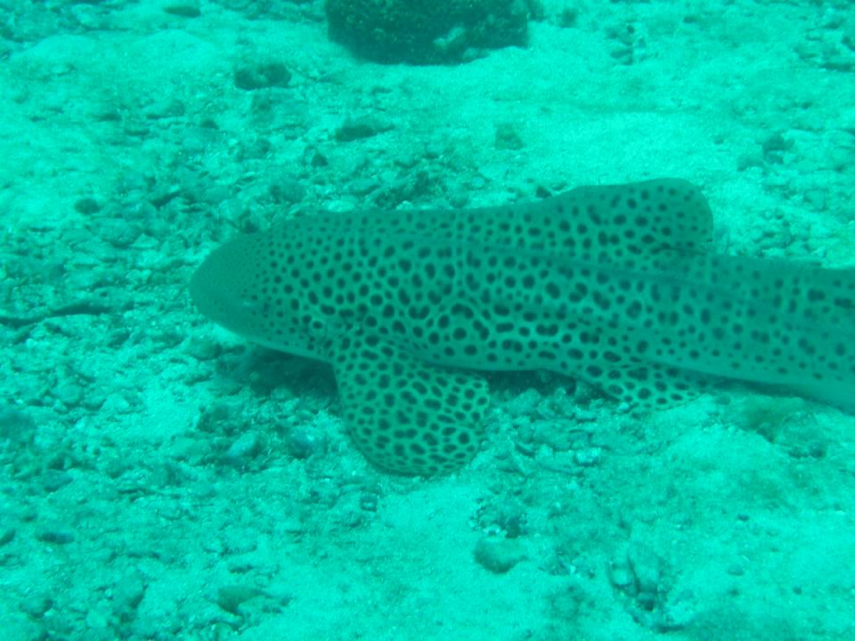 5ef5f265-981e-4ec7-be30-af64ee5d043e