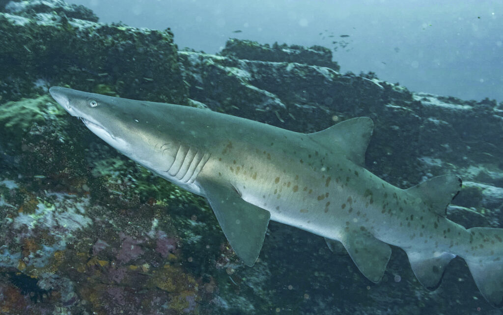 3f19b0f7-4ae6-444f-ac56-7112d00cabef